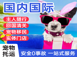 宁蒗泸沽湖机场空运国际宠物托运 【国